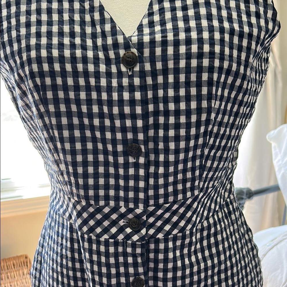 J Crew Blue and White Gingham Dress 6 - Picture 6 of 13